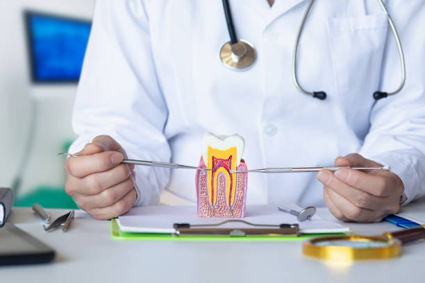 Best Emergency Tooth Extraction in Union, MO